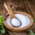 Does Stevia Break a Fast ( Sweetener ) Things You Should Know