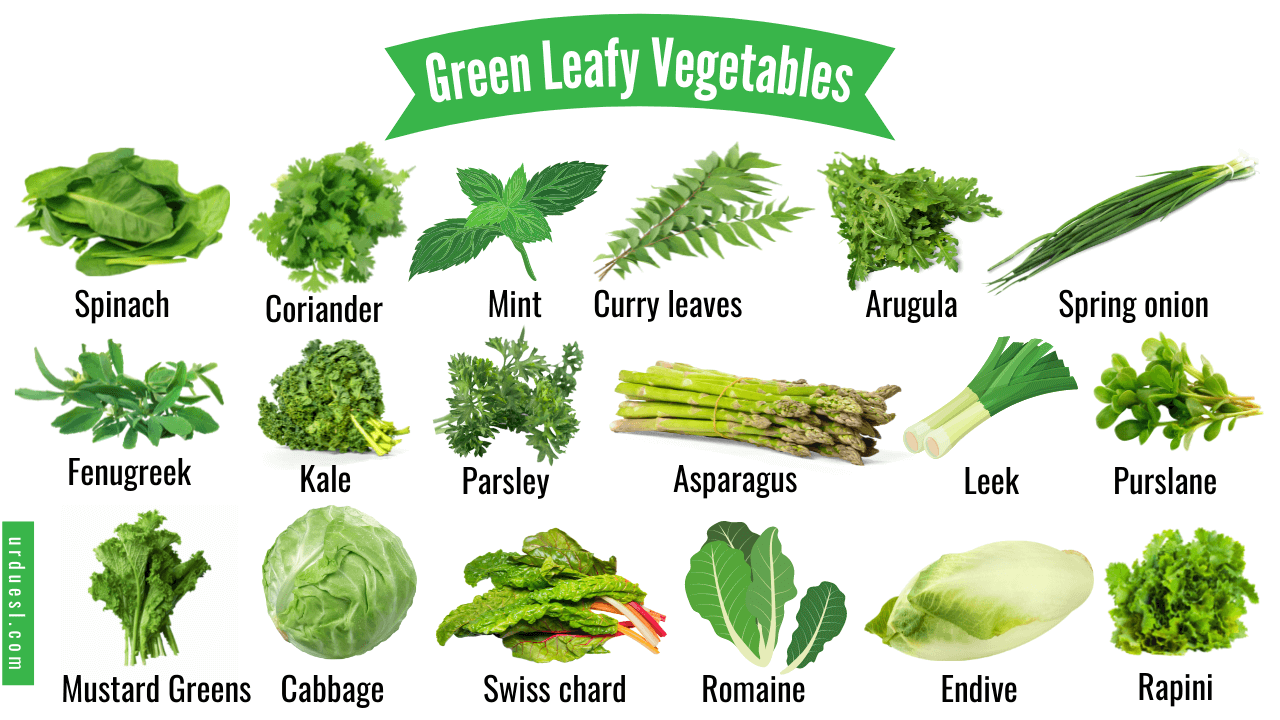 Name a Green Vegetable1