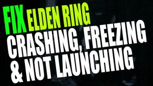 Elden Ring Texture Not Loading in Game