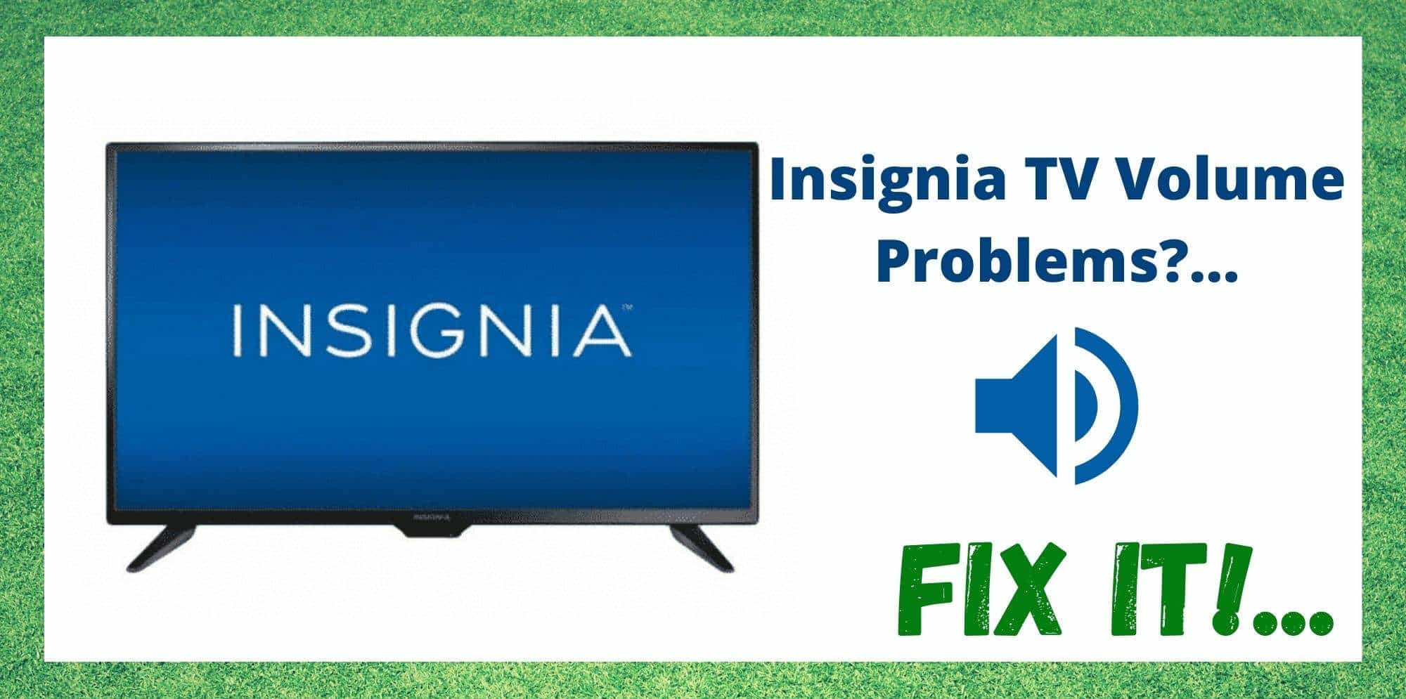 Insignia TV Sound Not Working/ Audio Cutting Out