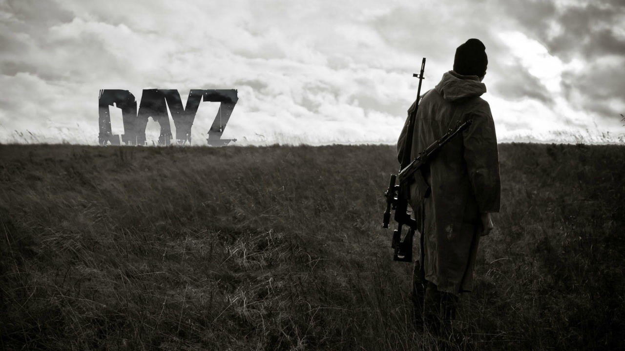 DayZ Black Screen After Startup